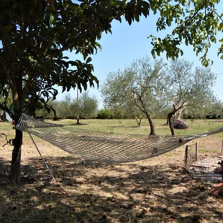 Country house Podere San Guglielmo Sarteano
