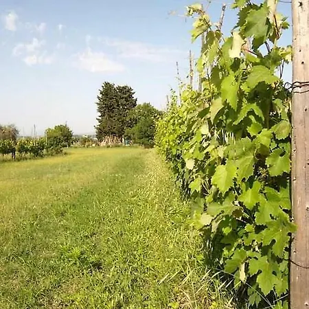 Podere San Guglielmo